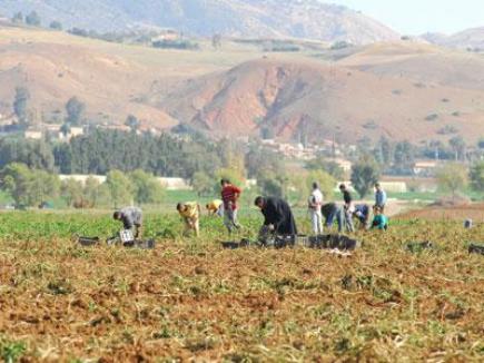 فلاحو الأبيض سيدي الشيخ يطالبون بإصلاح طريق منطقة الرقبة