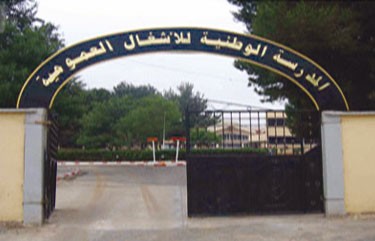 Où est passée la prime de stage de la promo 2014 '