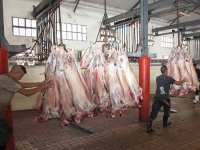 Professionnaliser les structures d'abattage de Bejaïa