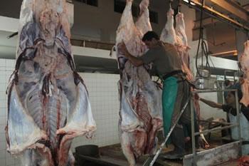 40.000 tonnes de viandes rouges par an sur le marché