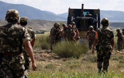 الجيش يطارد 7 إرهابيين من أتباع 