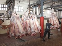 Le complexe de Hassi Bahbah entrera en activité début 2016