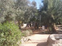 Une bibliothèque et un jardin contre l'ennui