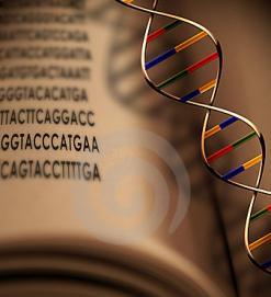 قطف الخطى              نحتاج إلى حمض نووي في الكتابة..