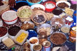 السيدة مليكة ورثت الحرفة وطوّرتها بالبحث              أغنياء محرجون من التداوي بالأعشاب وفقراء لاخيار لهم سواه