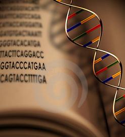 قطف الخطى              نحتاج إلى حمض نووي في الكتابة..