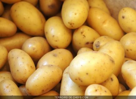 فلاحو الوادي... من يحاسب من ؟