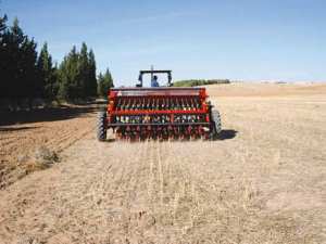 La baisse de la pluviométrie menace la saison agricole