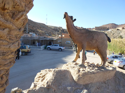 محطة عين ورقة بعسلة ولاية النعامة