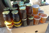 Coup d'envoi de la deuxième foire du miel de Kabylie