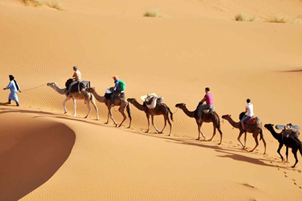 الوكالات السياحية تطالب بمسح الديون لتشجيع نشاطها بإيليزي