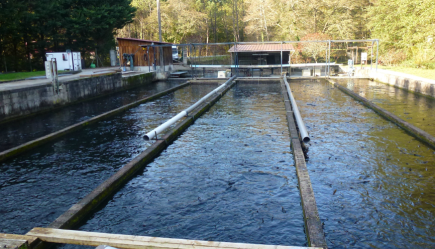 صندوق التعاون الفلاحي بعنابة يطلق عقود التأمين للمستثمرين