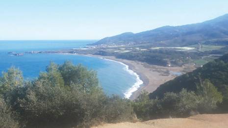 Un crime écolo-économique à l'est de Cherchell