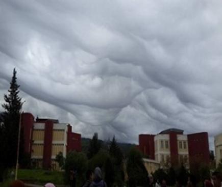 سحب الأمواج المتوحشة تصنع الحدث بالبليدة