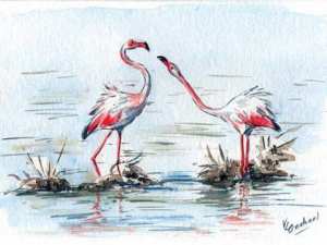 Moins d'oiseaux migrateurs dans nos contrées