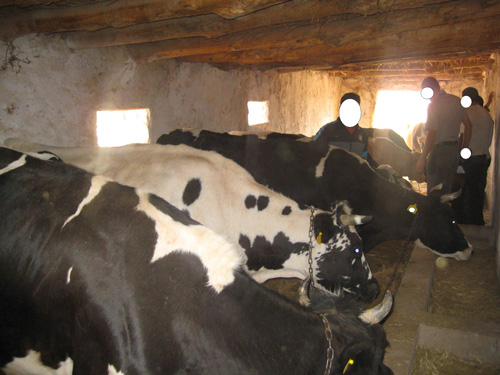 النشاط مهدد بالزوال بالشلف