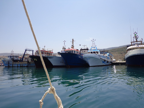 دعم ومرافقة الاستثمار بعين تموشنت