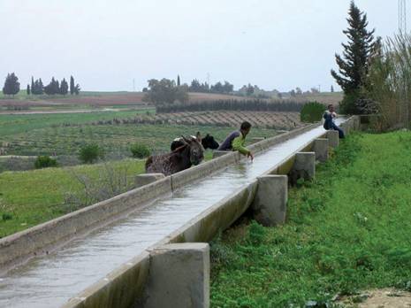 La situation hydrique n'est pas alarmante en Oranie
