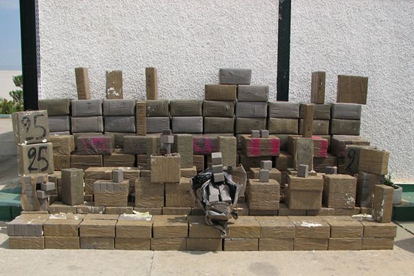 أمن الوادي يحجز أزيد من طن و300 كلغ من المخدرات