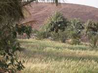 Plus de 3.130 ha emblavés