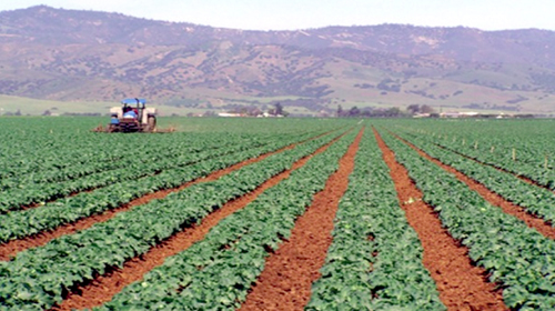 L'agriculture en question