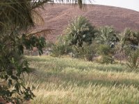 Plus de 3.130 ha emblavés