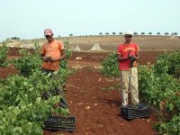 Vers la création de sept centres d'excellence