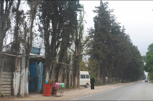 Les habitants des haouchs Sidi Moussa attendent les promesses de Zoukh