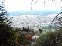 Blida, insolente de verdure