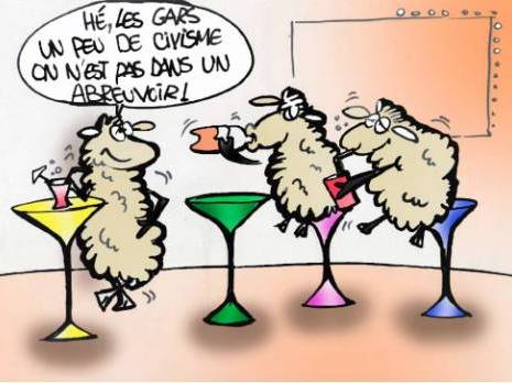 L'abreuvoir de la discorde