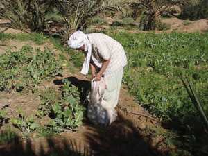 Un levier de performance incontournable