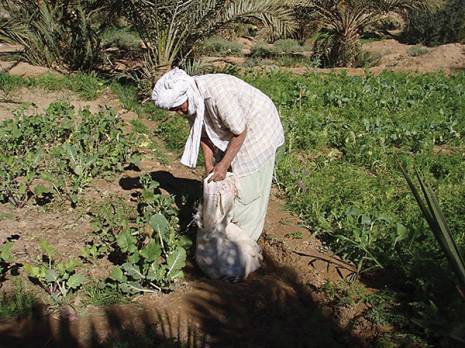 Un levier de performance incontournable