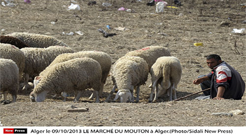 Des mesures à prendre, des efforts à conjuguer et des importateurs à sensibiliser