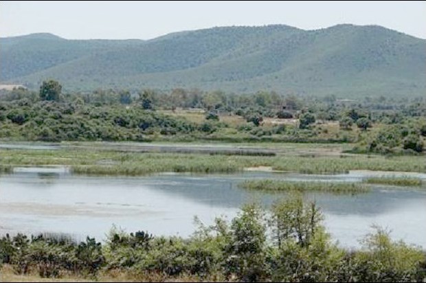 Riche programme à Oum El-Bouaghi