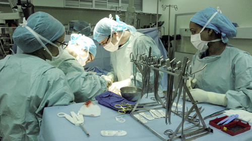 Plusieurs départements concernés par la lutte contre cette maladie