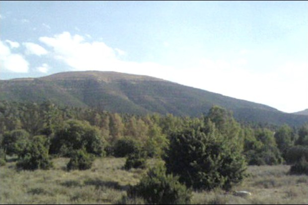 Le projet d'une forêt récréative à Harrouza se fait désirer