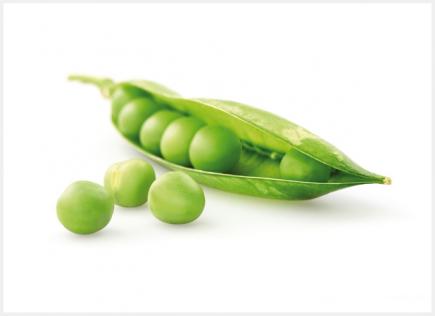 70 دينارا سعر الجلبانة بمستغانم