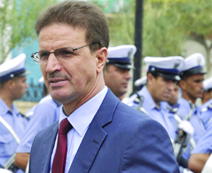 Développement local