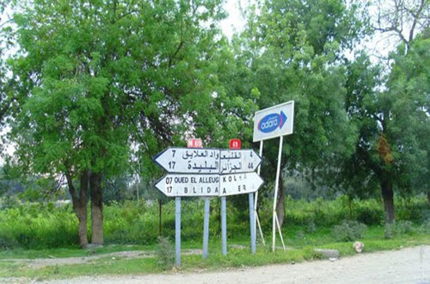 Accident de la route à Blida