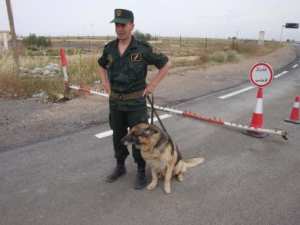 مجرمون يختطفون سيدة بعد الاعتداء على زوجها ببسكرة