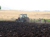 Les superficies céréalières emblavées dans le rouge