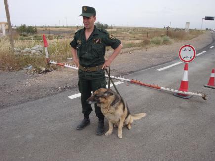 مجرمون يختطفون سيدة بعد الاعتداء على زوجها ببسكرة