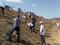 Rotary lance une opération de reboisement dans la forêt de Baïnem