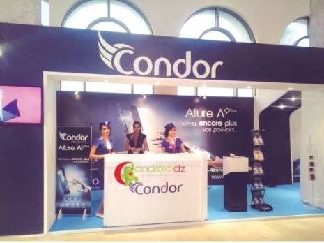 Condor veut prendre son envol