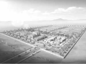 Des crevettes sur le marché en 2017