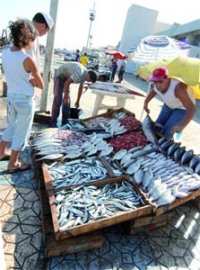 Des experts européens dans le cadre de l'appui à la production halieutique