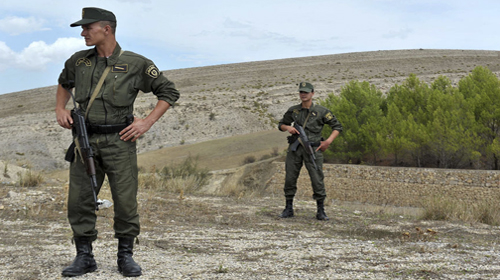 Mise à jour des plans d'action et de la coordination avec l'ANP
