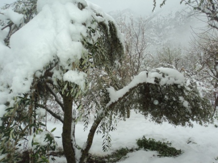Lemroudj, beaucoup de neige ce 16 février 2016