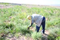 Protection et valorisation