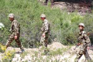 الجيش يدمر 15 مخبأ للإرهابيين في تيبازة